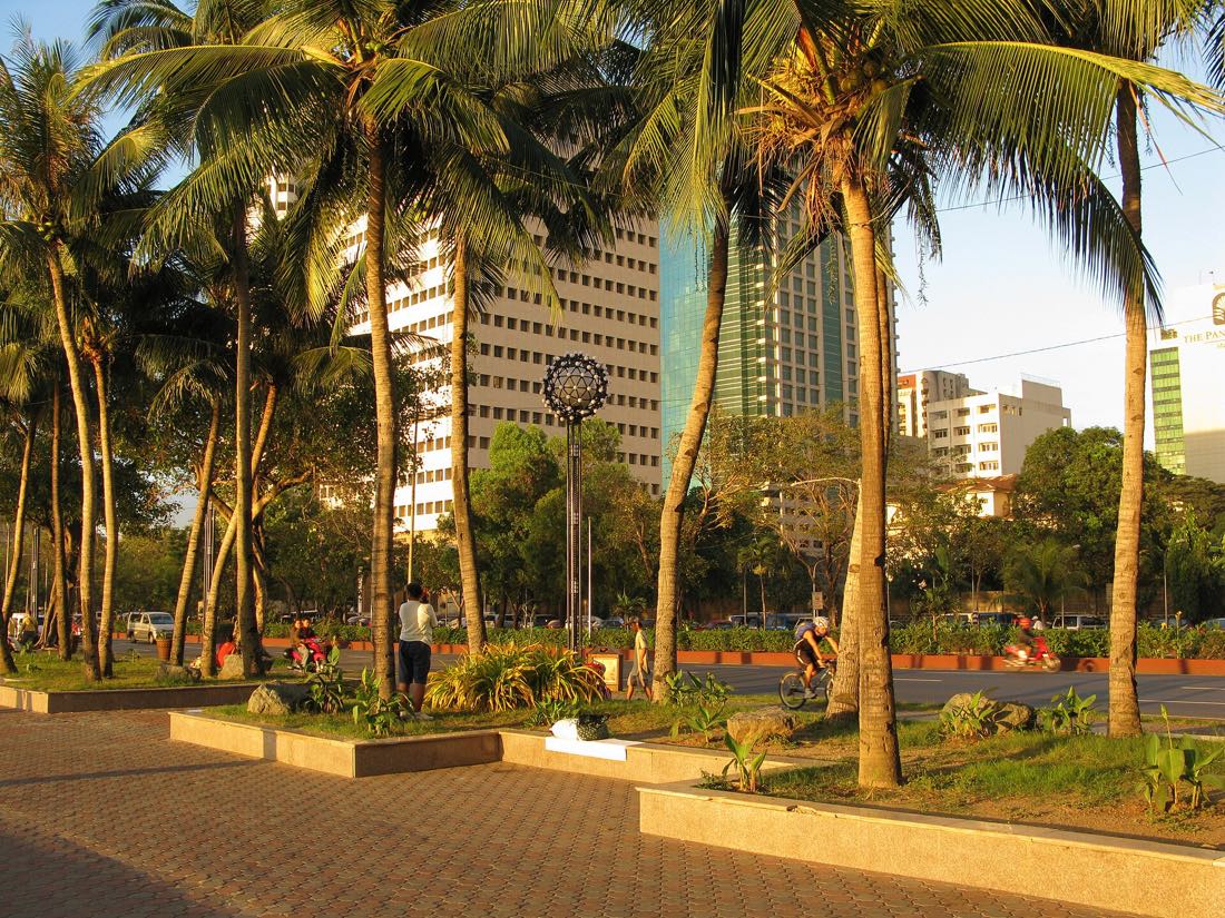 Palms along Roxas Boulevard beside Rizal Park, Manila